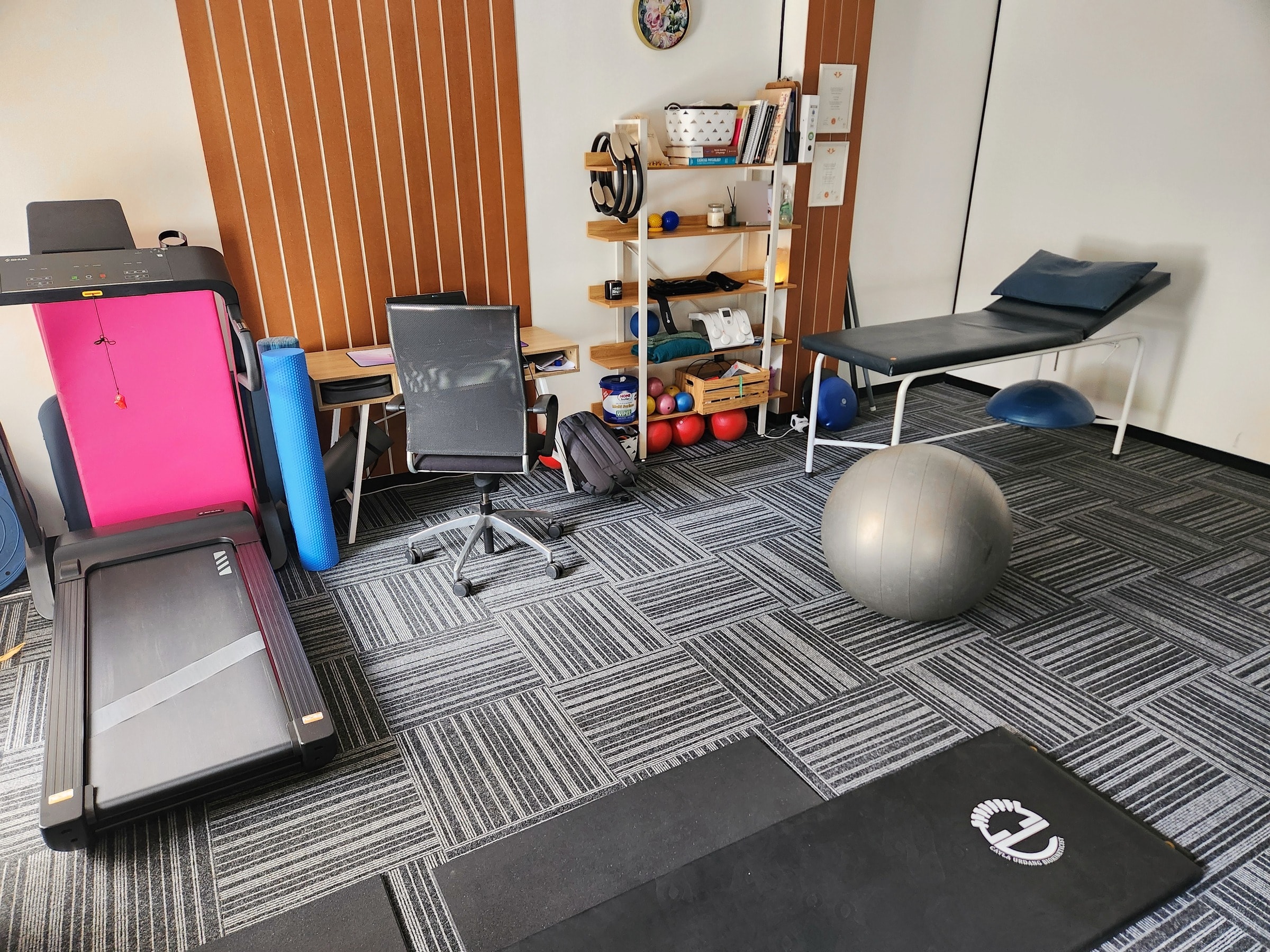 Cayla's exercise room, with the treadmill and treatment bed